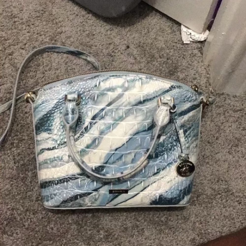 Brahmin in good condition